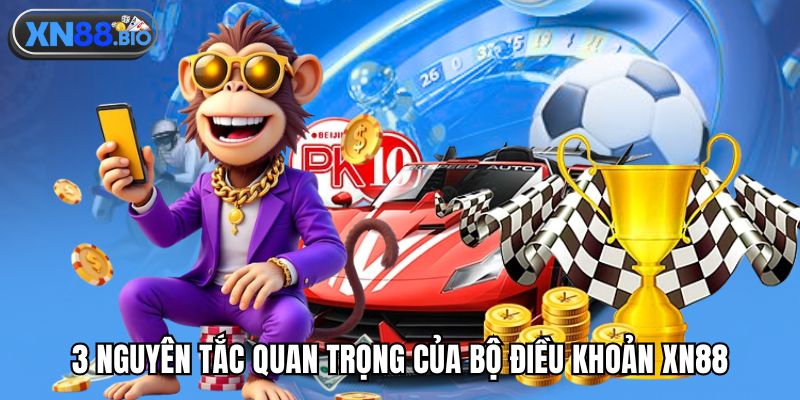 3 nguyên tắc quan trọng của bộ điều khoản XN88